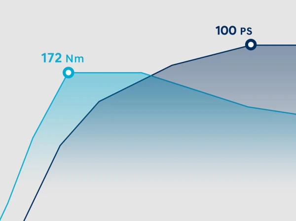 1,0 T-GDi (100 KM).